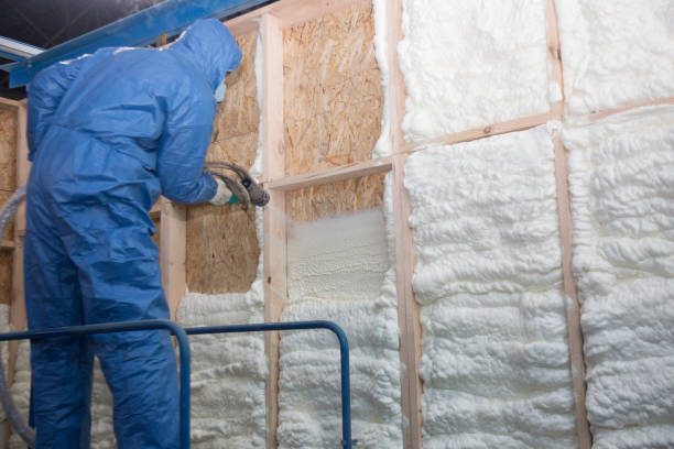 Best Insulation Replacement  in Crestwood, MO